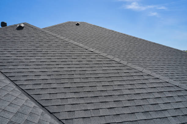 Best Roof Insulation Installation  in Des C, AR